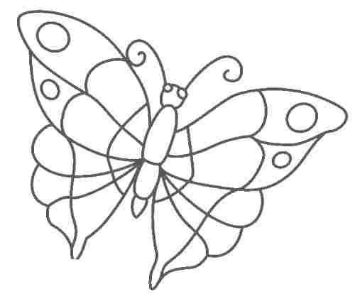 аппликация из бумаги бабочка (2)