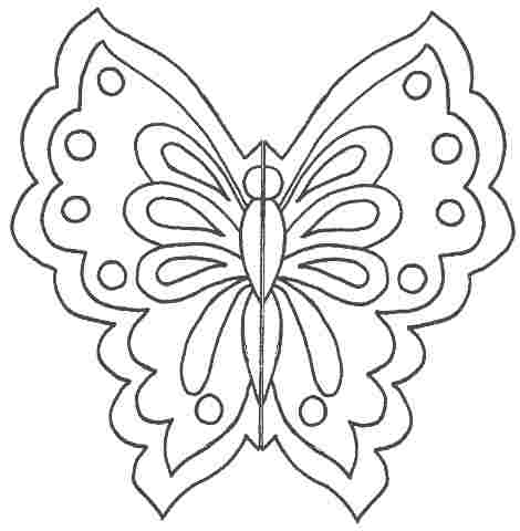 аппликация из бумаги бабочка (3)