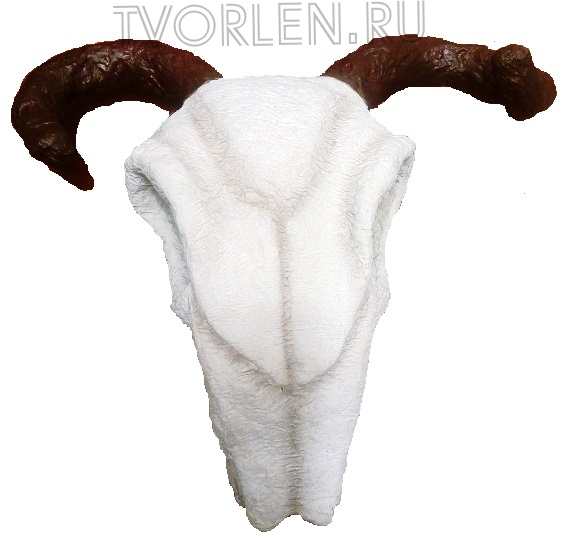 череп буйвола из папье маше (1)